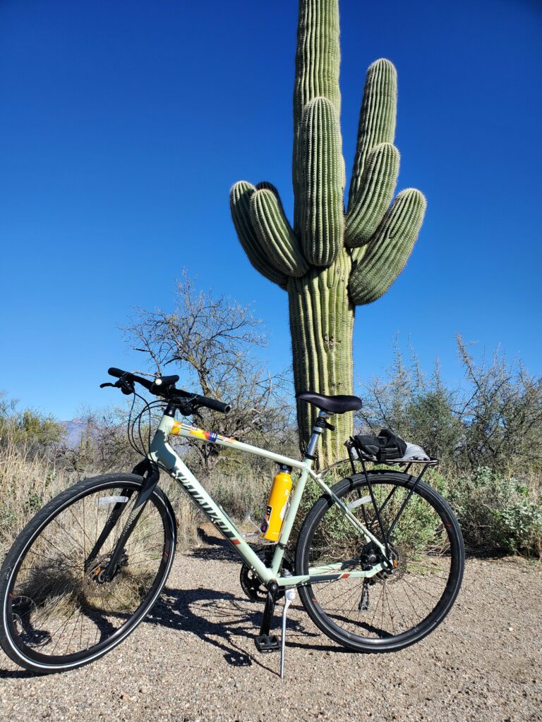 cactic cycling arizona saguaro national park the loop