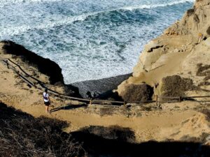 torrey pines reserve hiking