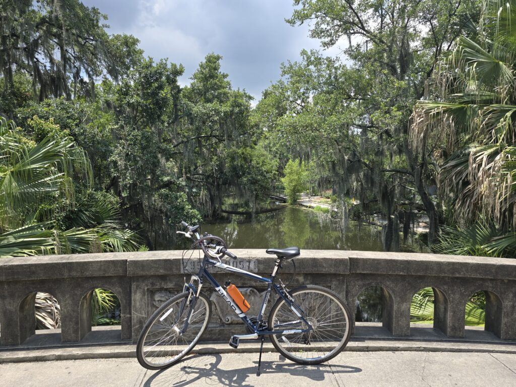 spanish moss nola bike views