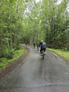 greenery in the coastal trail anchorage bike