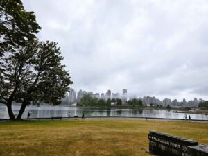 vancouver skyline at stanley park