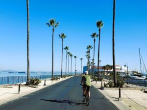 palm trees on bayshore bikeway san diego