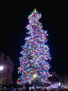 coronado island christmas tree