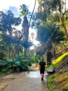 balboa park palm canyon